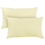 Outdoor Throw Pillow (Set Of 2) 